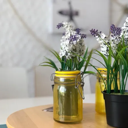 Hostel Fonte Da Telha *