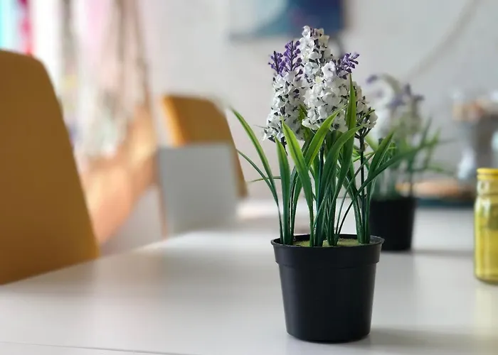 Fonte Da Telha Hostal *