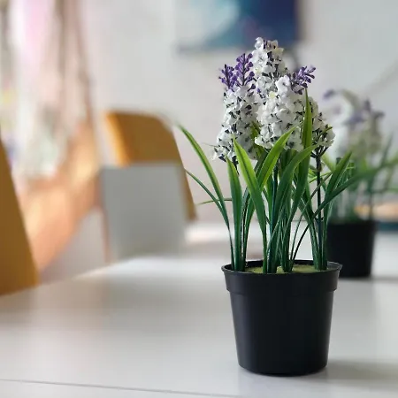 Fonte Da Telha Albergue *