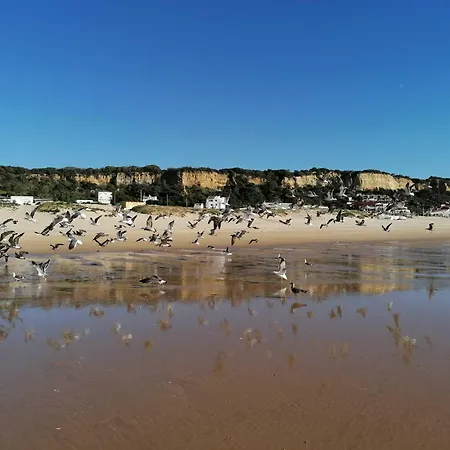 Fonte Da Telha Albergue