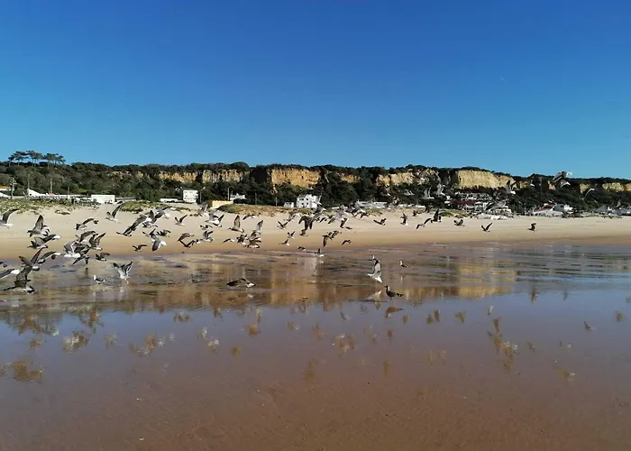 Fonte Da Telha Hostel